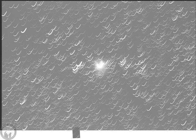 5984.jpg
